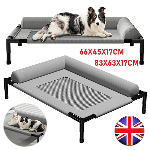 Orthopaedic raised dog - orthopaedic,
