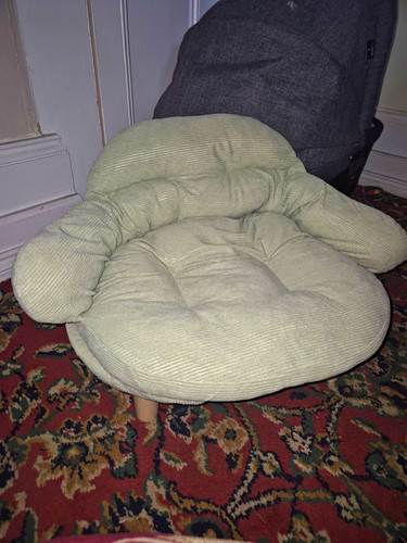 Colcolo corduroy green - corduroy,